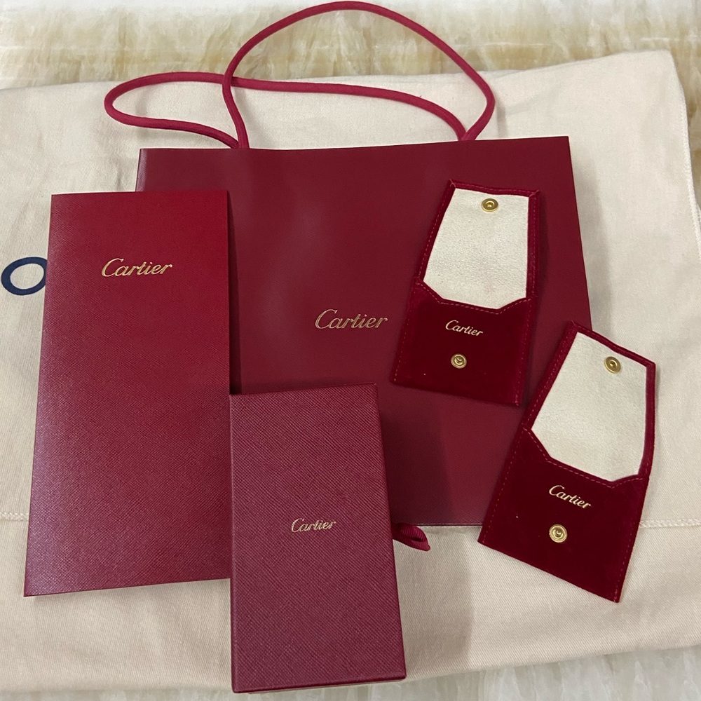 Cartier Cleaning Kit